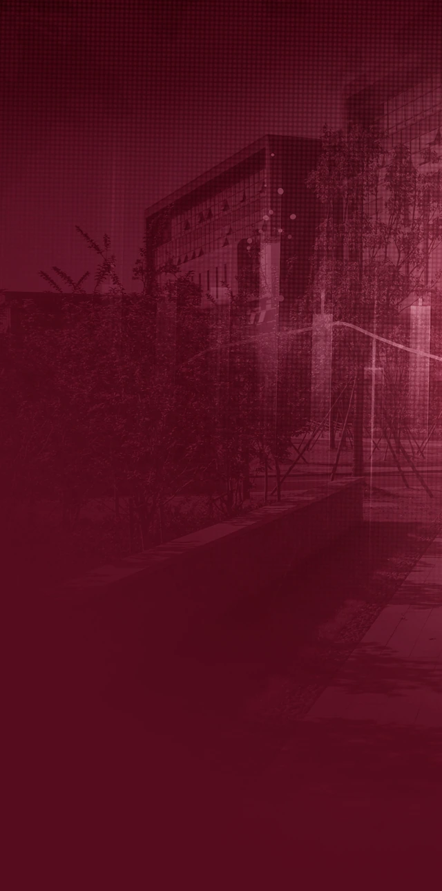 bg-mobile.png